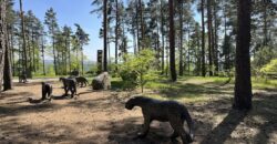 1+kk 26 m2 /L s výhledem do klidné ulice a zeleně P8-Lešenská ul.