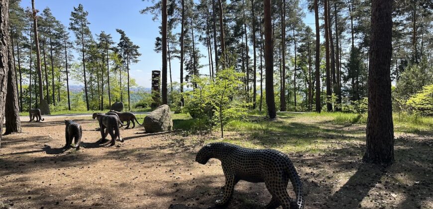 1+kk 26 m2 /L s výhledem do klidné ulice a zeleně P8-Lešenská ul.