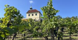 1+kk 26 m2 /L s výhledem do klidné ulice a zeleně P8-Lešenská ul.