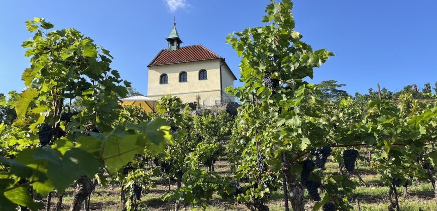 1+kk 26 m2 /L s výhledem do klidné ulice a zeleně P8-Lešenská ul.