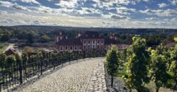 1+kk 26 m2 /L s výhledem do klidné ulice a zeleně P8-Lešenská ul.