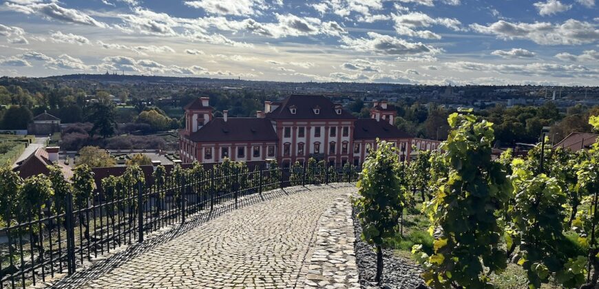 1+kk 26 m2 /L s výhledem do klidné ulice a zeleně P8-Lešenská ul.