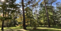 1+kk 26 m2 /L s výhledem do klidné ulice a zeleně P8-Lešenská ul.