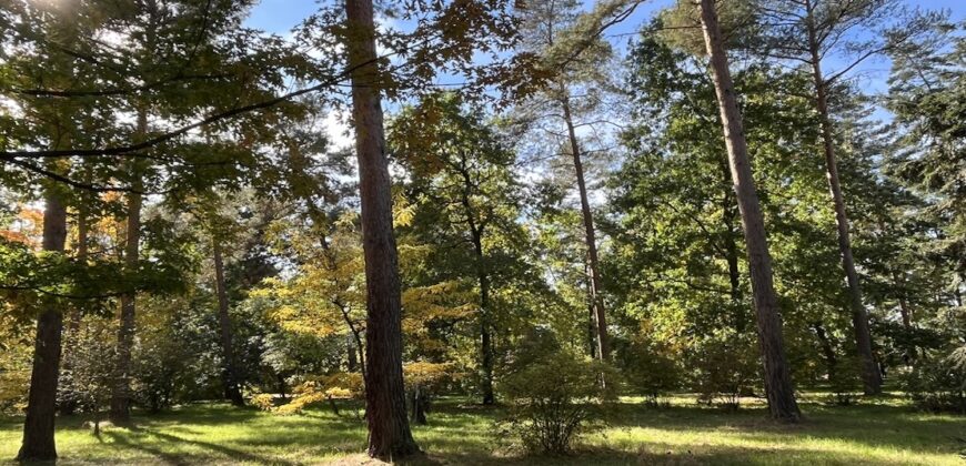 1+kk 26 m2 /L s výhledem do klidné ulice a zeleně P8-Lešenská ul.