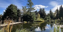 1+kk 26 m2 /L s výhledem do klidné ulice a zeleně P8-Lešenská ul.