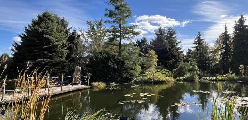 1+kk 26 m2 /L s výhledem do klidné ulice a zeleně P8-Lešenská ul.