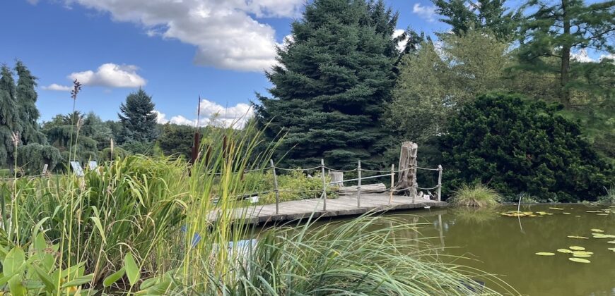 1+kk 26 m2 /L s výhledem do klidné ulice a zeleně P8-Lešenská ul.