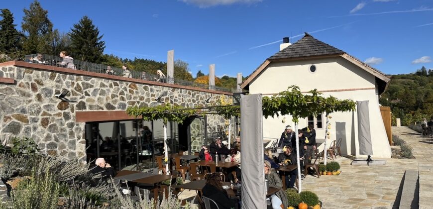 1+kk 26 m2 /L s výhledem do klidné ulice a zeleně P8-Lešenská ul.