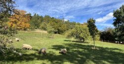 1+kk 26 m2 /L s výhledem do klidné ulice a zeleně P8-Lešenská ul.