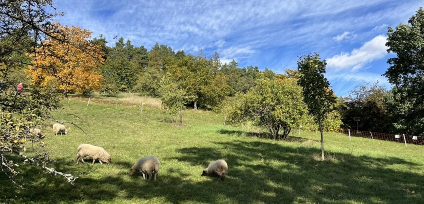 1+kk 26 m2 /L s výhledem do klidné ulice a zeleně P8-Lešenská ul.