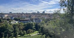 Krásný prostorný 3+kk+šatna  87m2,  v domě z období secese, se zahradou, reprezentativní lokalita P2 Vinohrady – Slovenská ul.