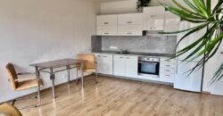 2+kk/B+sklep 51m2 areál Rezidence Podbaba P6 Lindleyova ul.