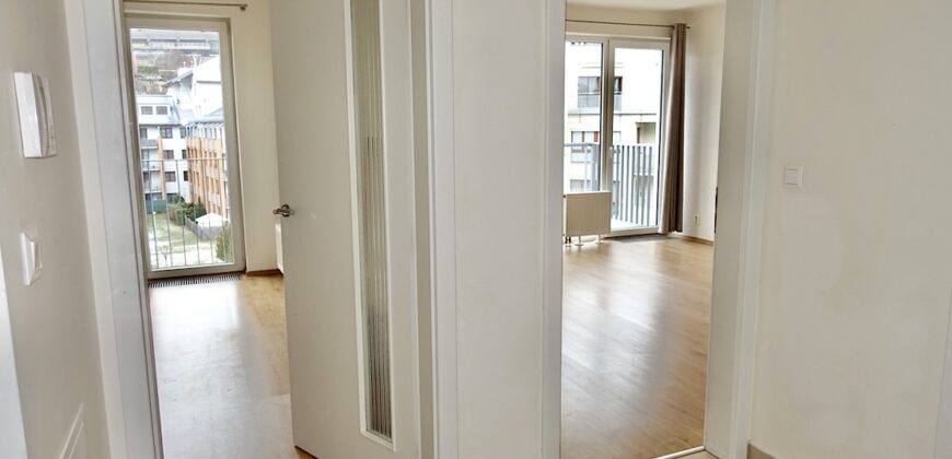 2+kk/B+sklep 51m2 areál Rezidence Podbaba P6 Lindleyova ul.