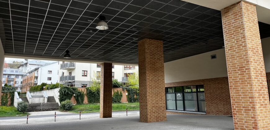 2+kk/B+sklep 51m2 areál Rezidence Podbaba P6 Lindleyova ul.