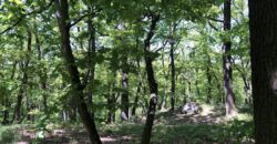 2+kk/B+sklep 51m2 areál Rezidence Podbaba P6 Lindleyova ul.
