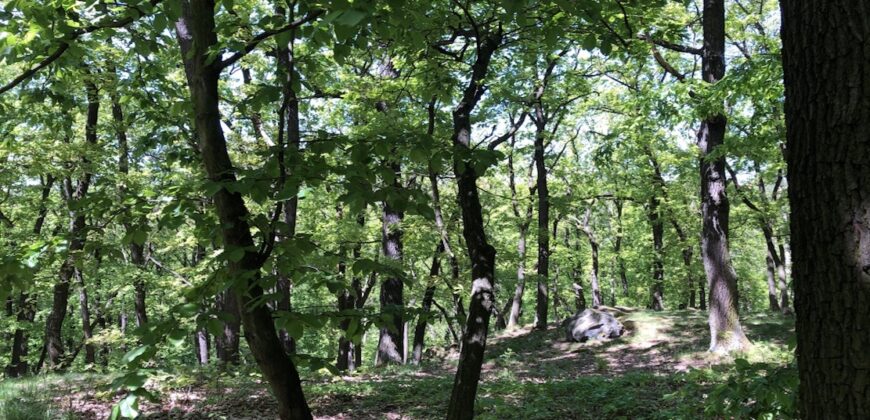 2+kk/B+sklep 51m2 areál Rezidence Podbaba P6 Lindleyova ul.