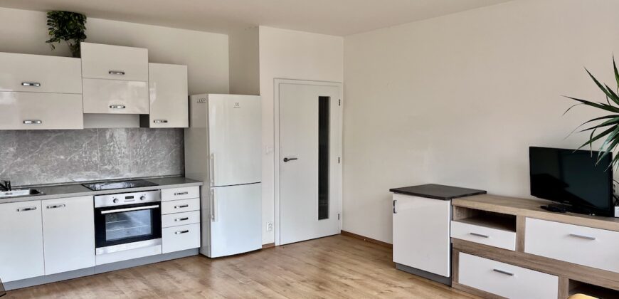 2+kk/B+sklep 51m2 areál Rezidence Podbaba P6 Lindleyova ul.