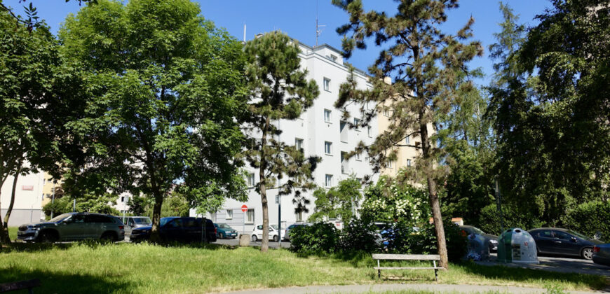 Byt 1+1 OV 42 m2 s krásným výhledem, prvorepublikový dům se zahradou P-6 ul. Nad Kajetánkou